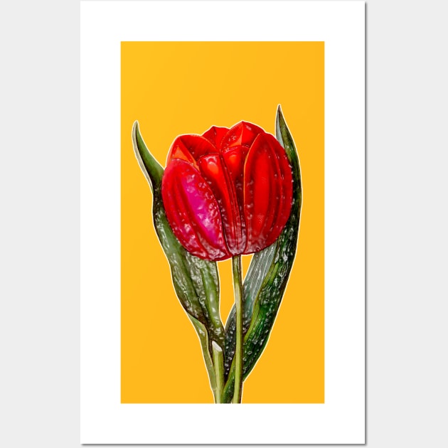 Red Tulip Viscountess Wall Art by Marccelus